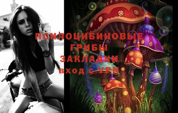 твердый Аркадак