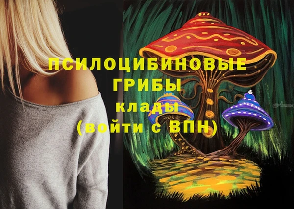 твердый Аркадак