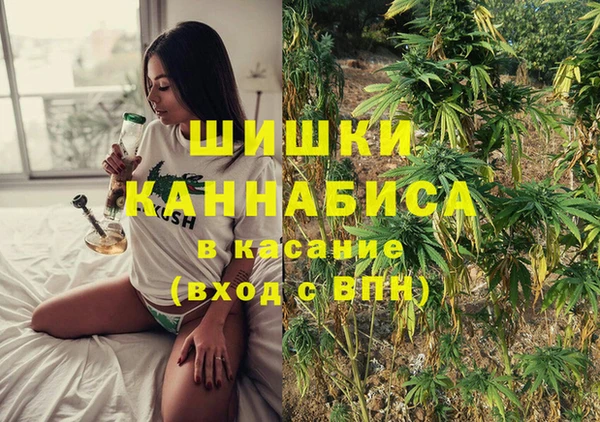 твердый Аркадак