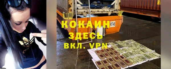 твердый Аркадак
