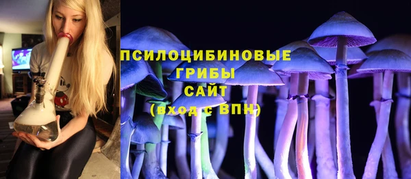 стаф Балахна
