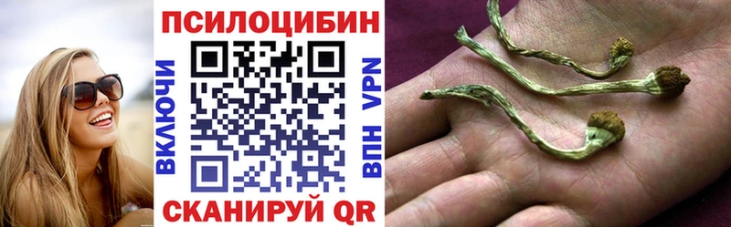 Галлюциногенные грибы Psilocybine cubensis  Белово 
